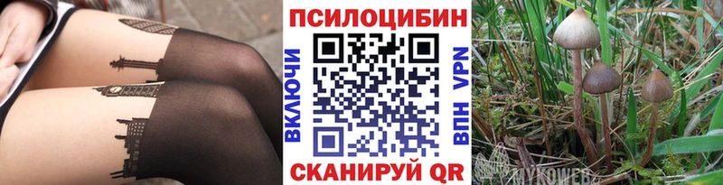 Галлюциногенные грибы Psilocybe  Дальнереченск 